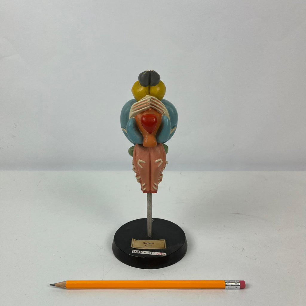 Modello anatomico - Cervello Trota Salmonata | Anni '70