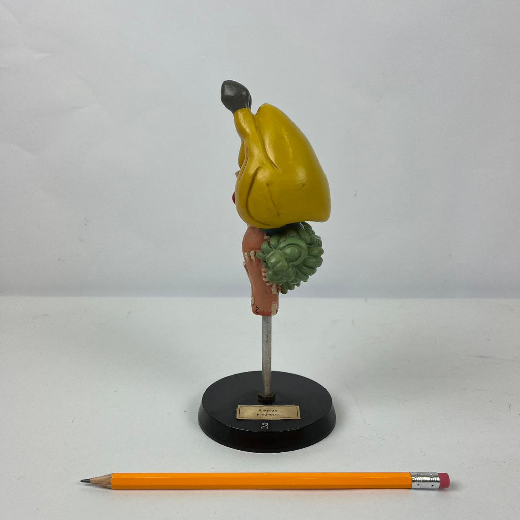 Modello anatomico - Cervello di Lepre | Anni '70