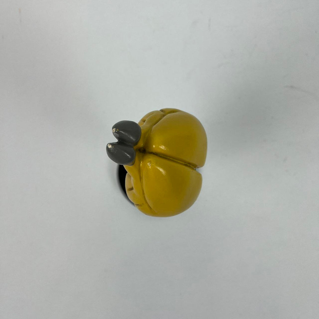 Modello anatomico - Cervello di Lepre | Anni '70