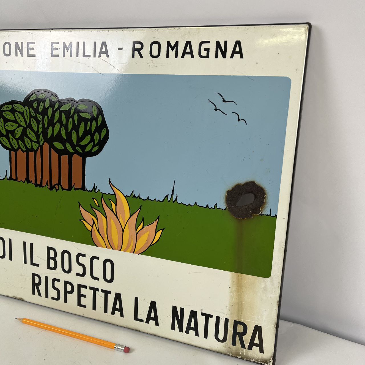 Insegna smaltata - Difendi il Bosco, Rispetta la Natura