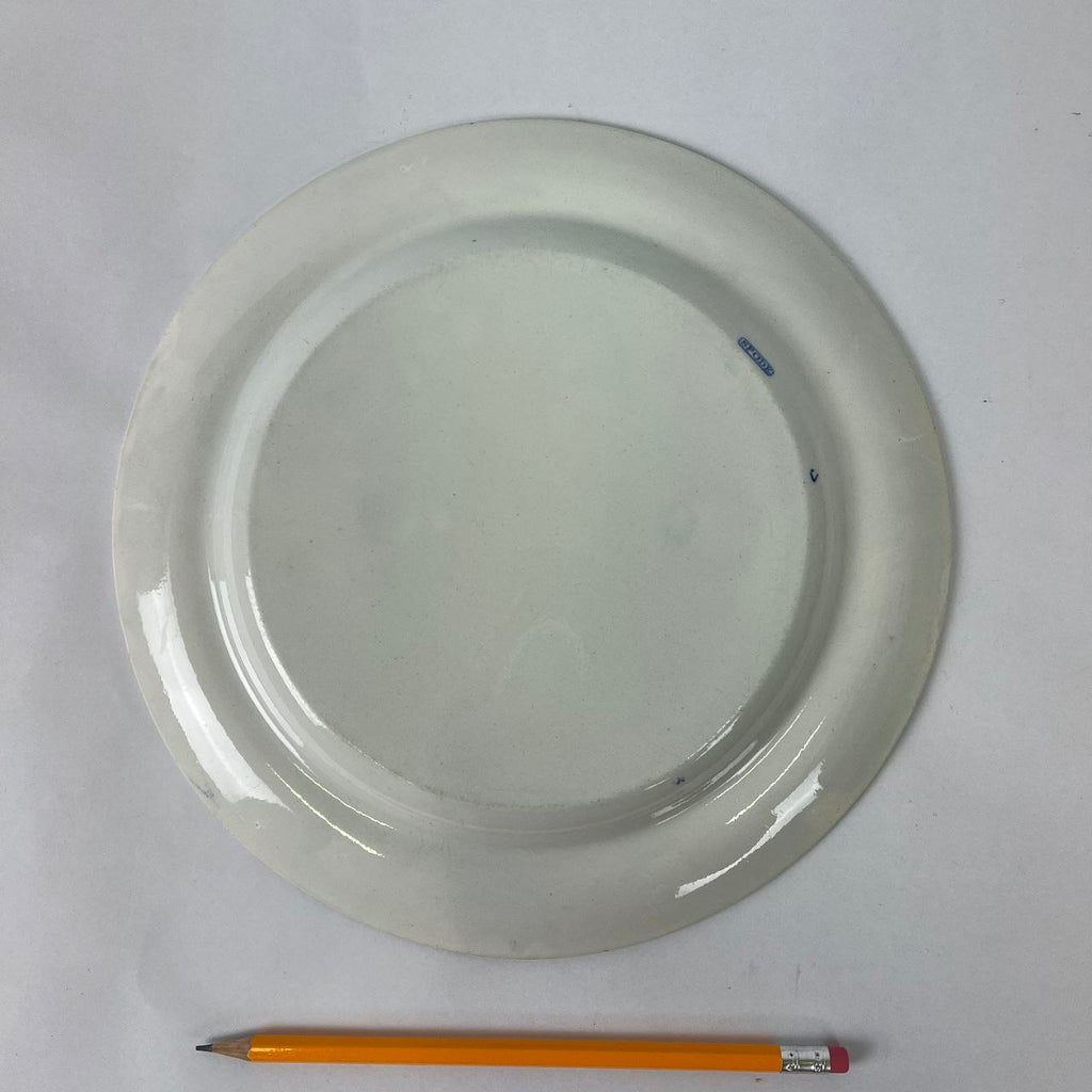 Earthenware plate - Spode | Year 1816