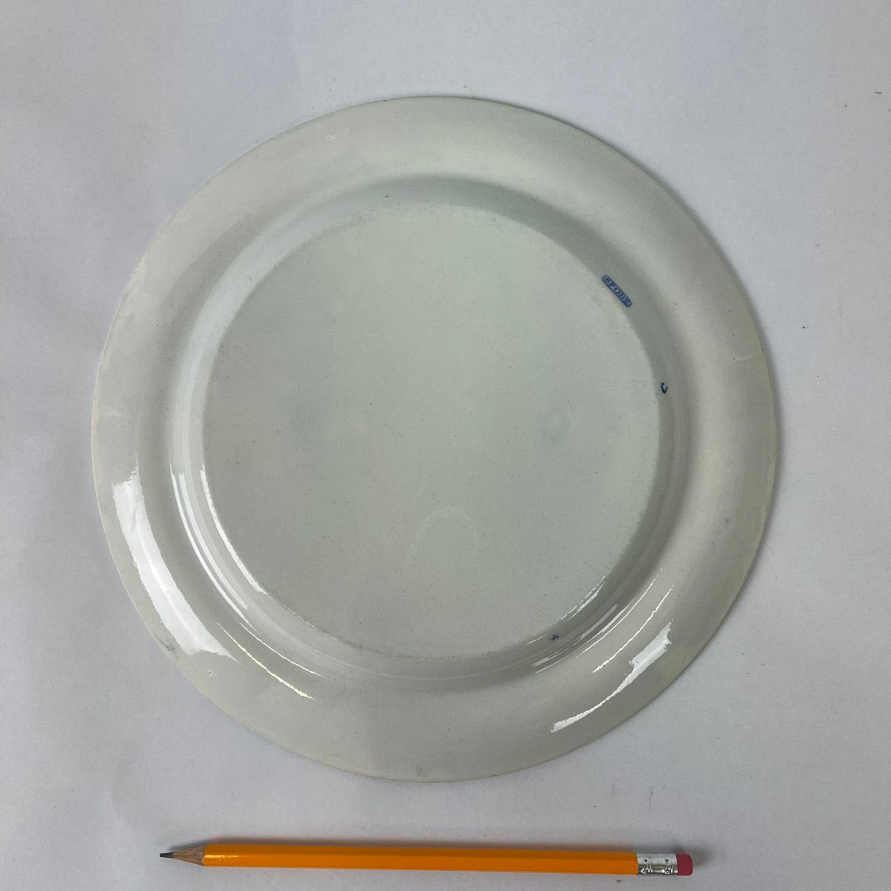 Earthenware plate - Spode | Year 1816