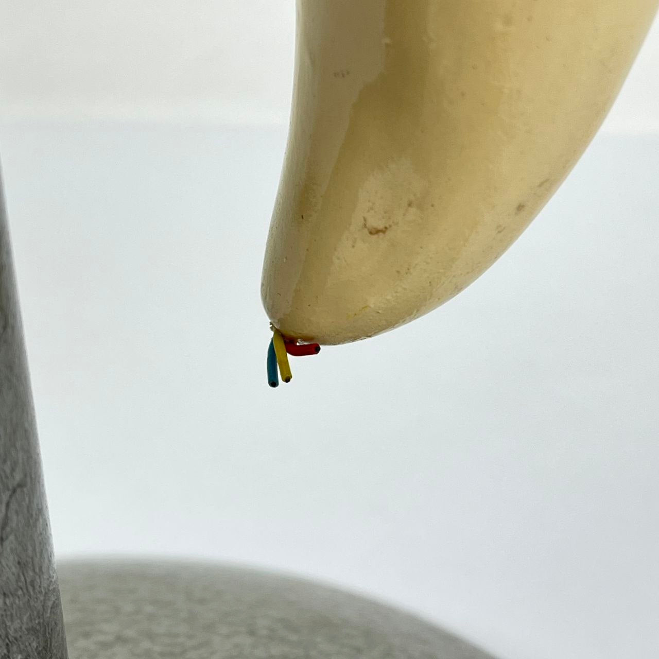 Modello Anatomico di un Dente Umano