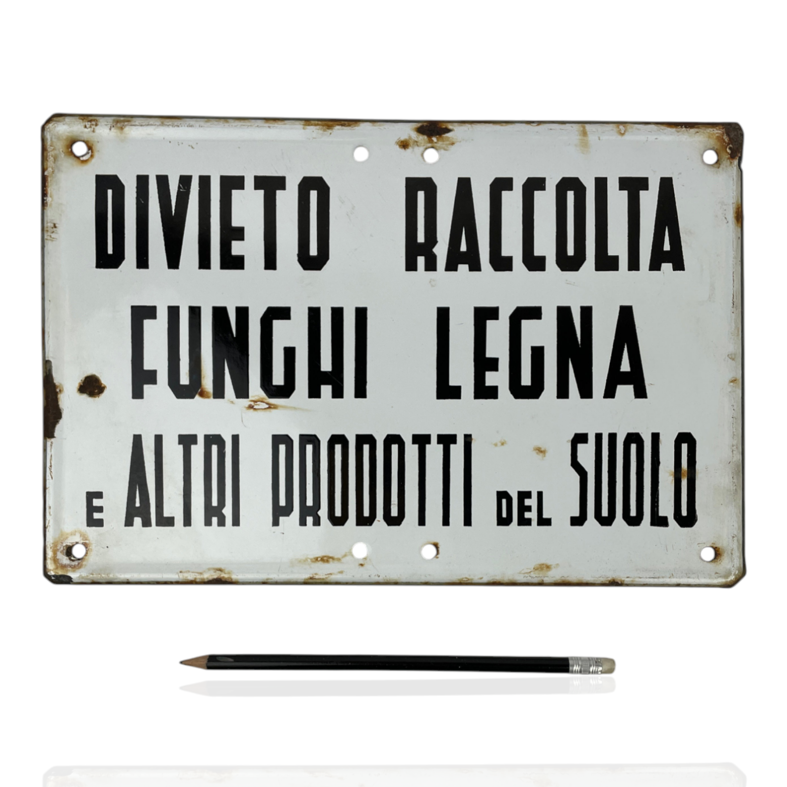 Enamel Sign - No Mushroom and Firewood Picking | 1970s