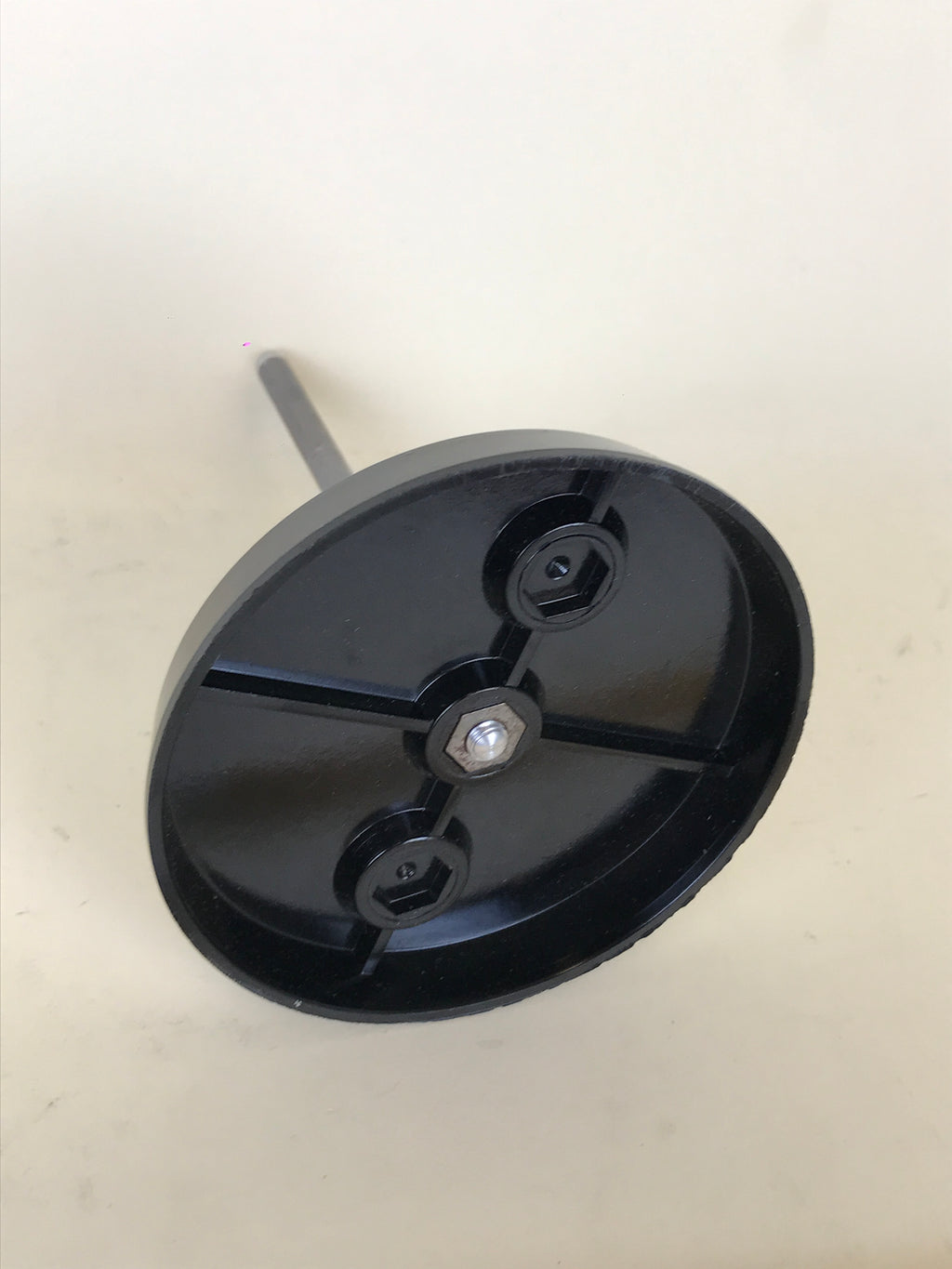 Anatomical Model - Frog Heart | 1970s